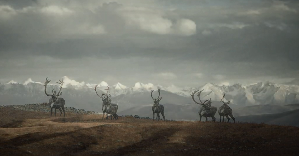 Wild Land Trailer