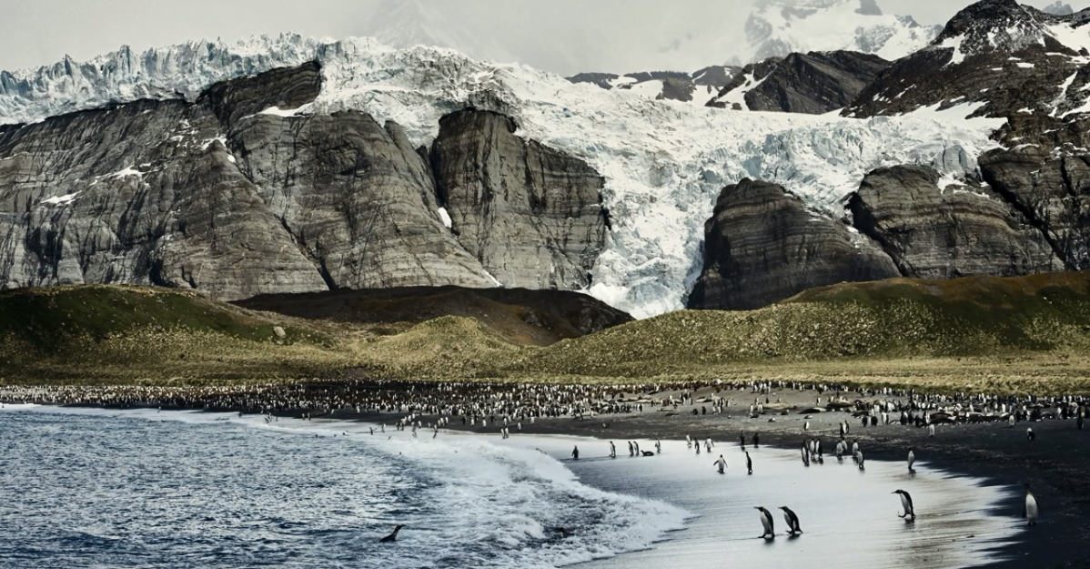Wild Land 