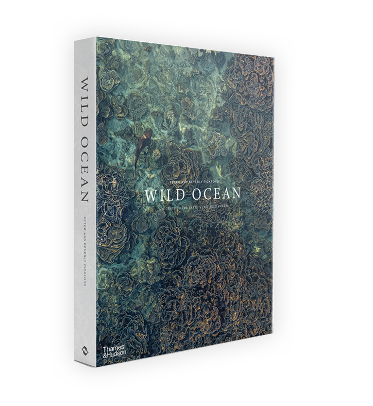 Wild Ocean Book – Signed Copy – WildLand WildOcean