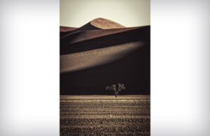 Sossusvlei Dunes Namibia 3042-3
