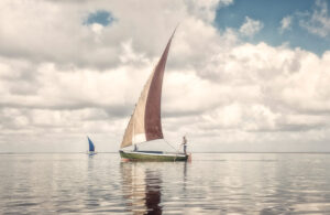 Dhows Of Mozambique 7108
