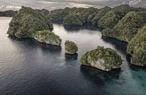 Volcanic Islands and seascape, Palau 0030